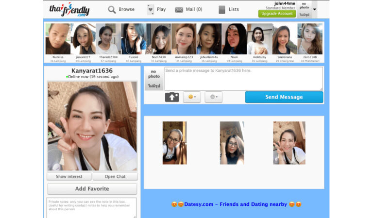 Revisão ThaiFriendly: É uma boa escolha para namoro online em 2023?